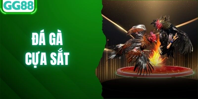 Đá Gà Cựa Sắt Là Gì? Bí Kíp Săn Thưởng Giá Trị Tại GG88