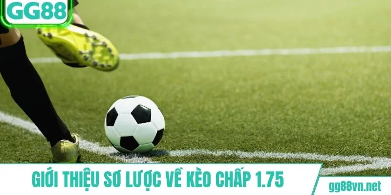 Giới thiệu sơ lược vài nét về kèo chấp 1.75