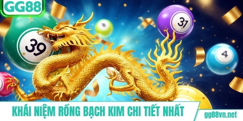 Khái niệm rồng bạch kim chi tiết nhất